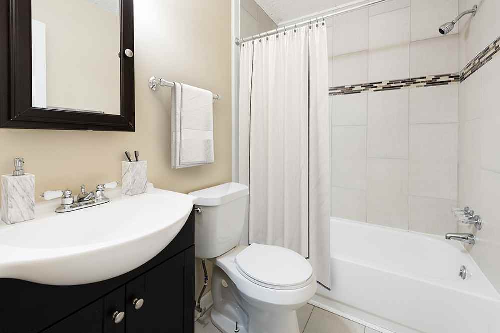 Fort Mill - Photo 7 of 19