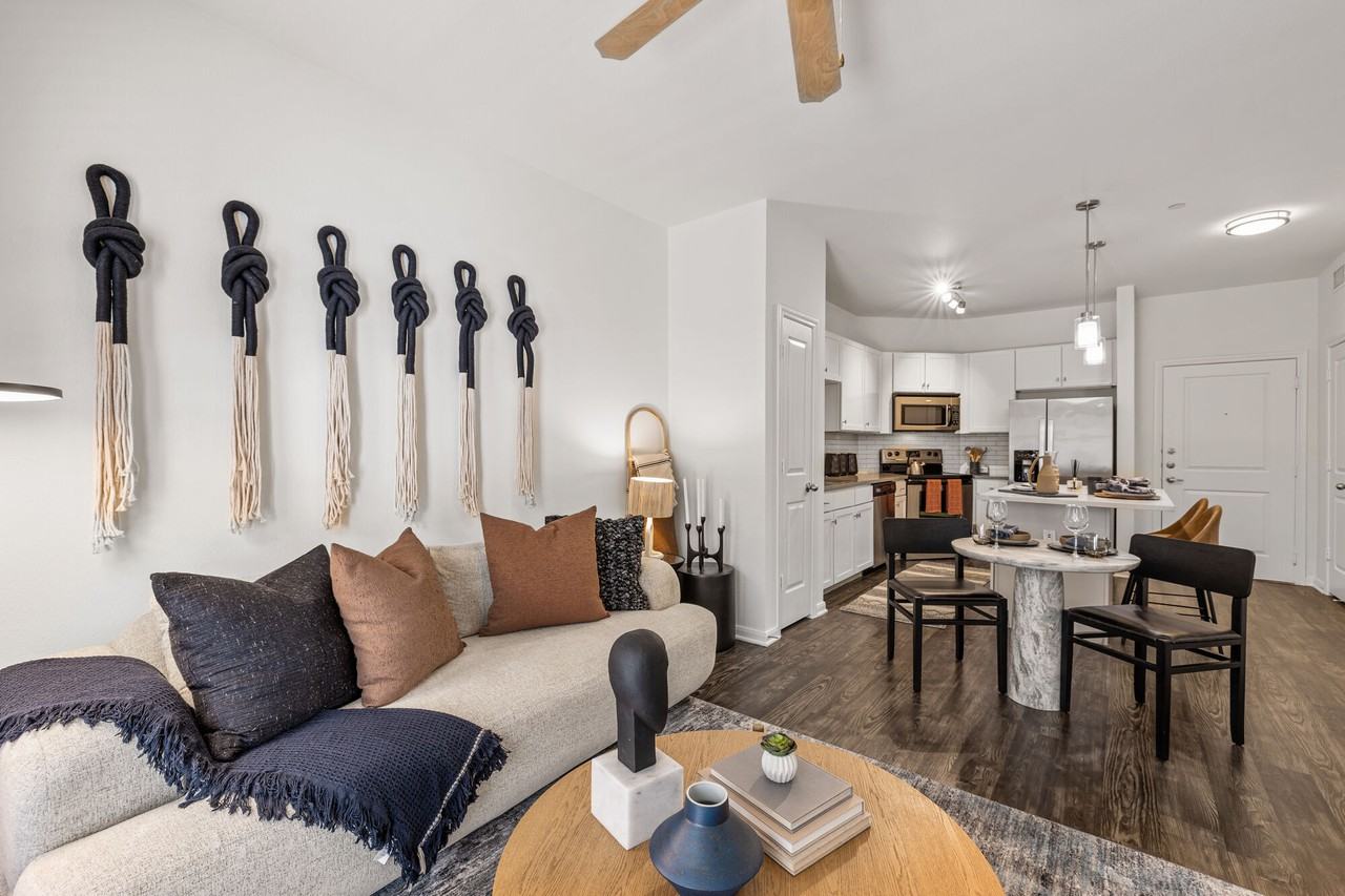 Debut Soco - Photo 5 of 32