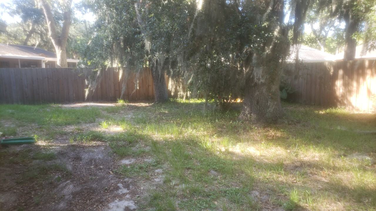 2009 Mango Tree Dr - Photo 2 of 2