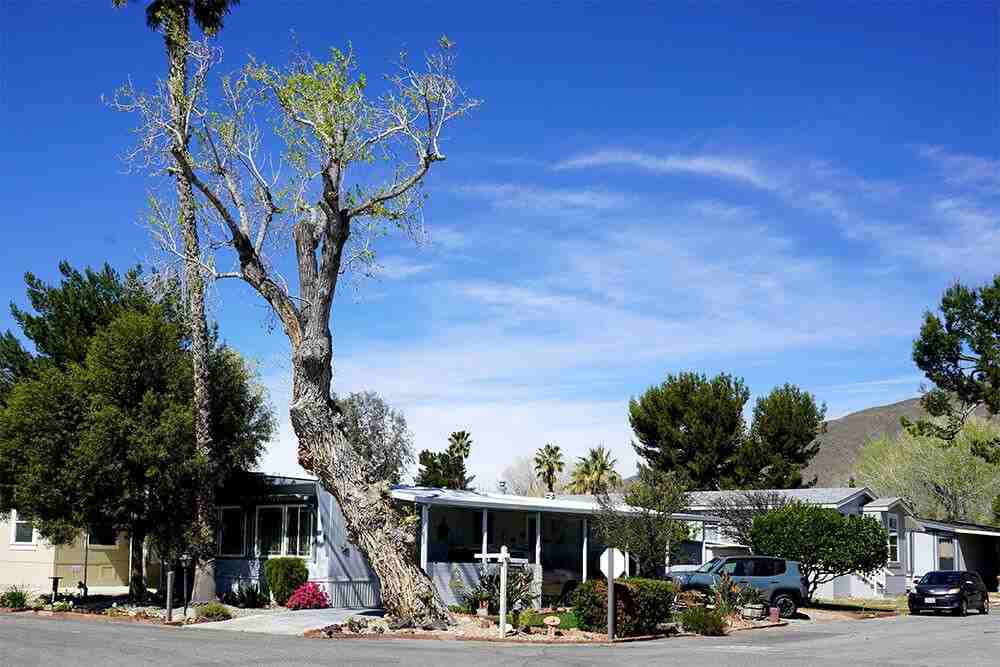 Country Lake Mobile Home Community - Photo 2 of 17