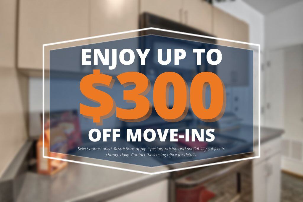 Bolero - Photo 2 of 20