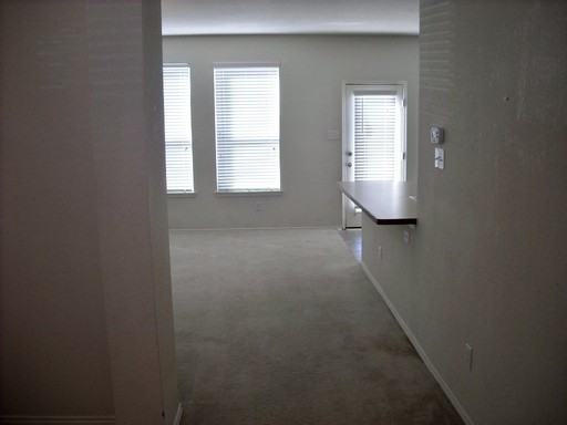 401 Mystic River Trail - Photo 3 of 24