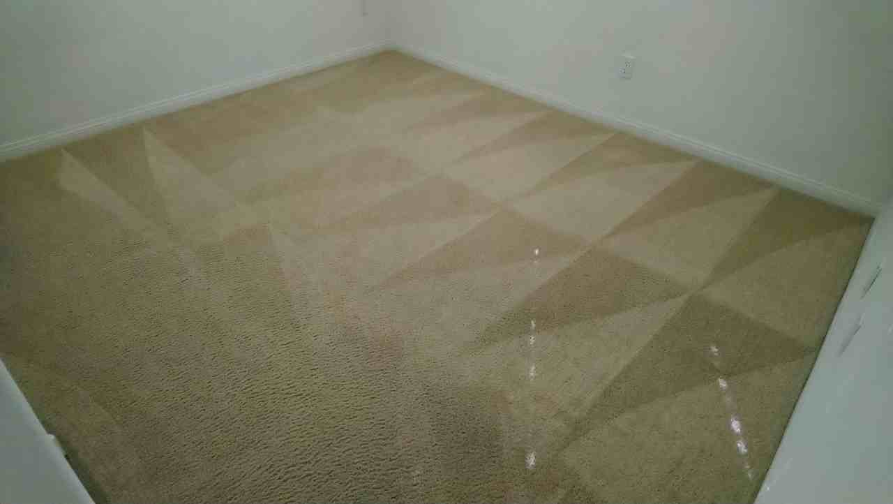 2382 Via Barranca St #1 - Photo 5 of 10