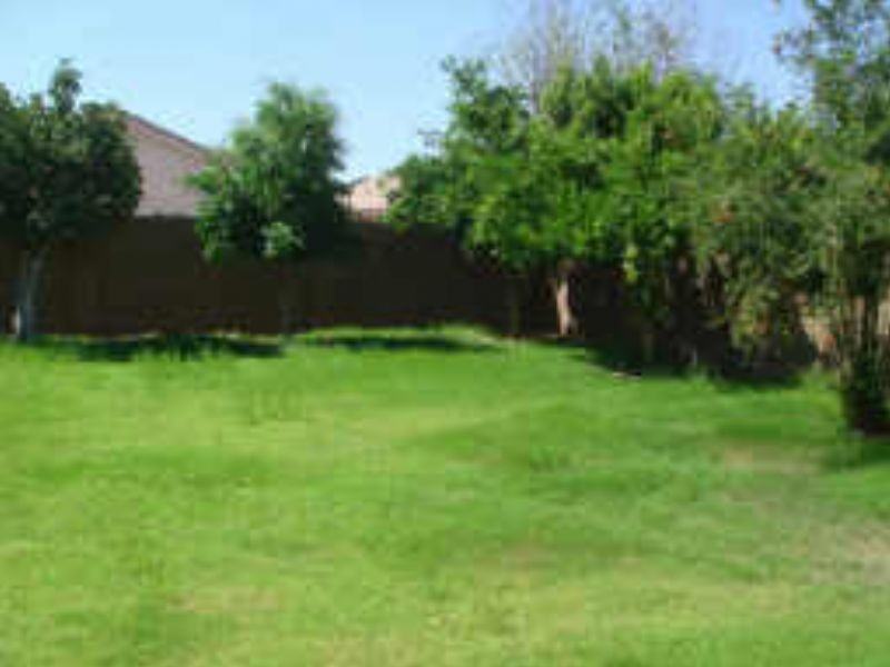 497 W San Angelo St - Photo 2 of 10