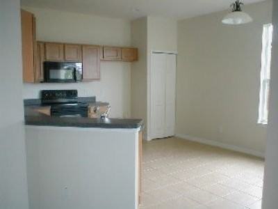 3432 Gerber Daisy Ln - Photo 3 of 9