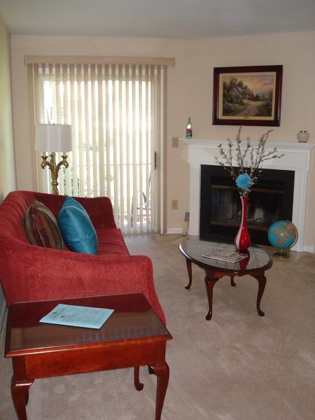 317 Potomac Dr #317 - Photo 3 of 25