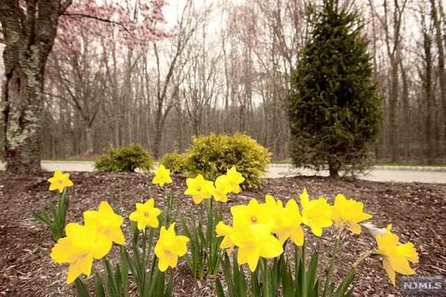 513 Elm Ct - Photo 2 of 25