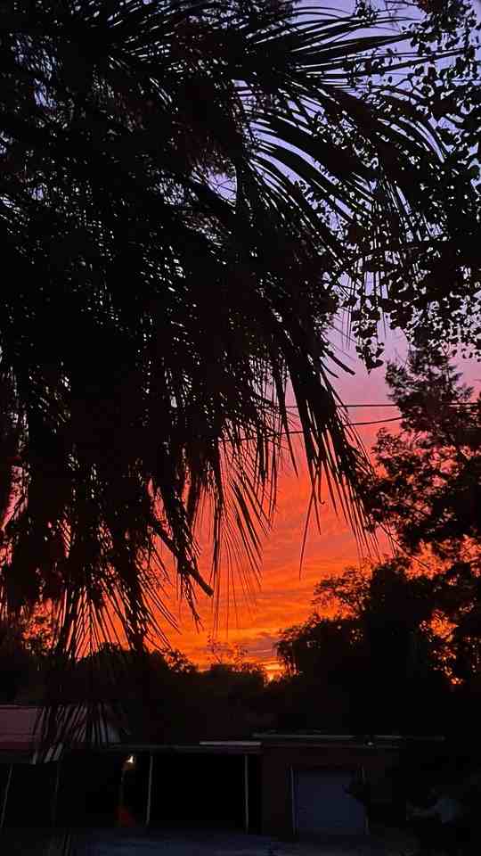 Highland Ave - Photo 5 of 27