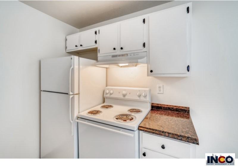 3680 S Lowell Blvd #101 - Photo 4 of 19