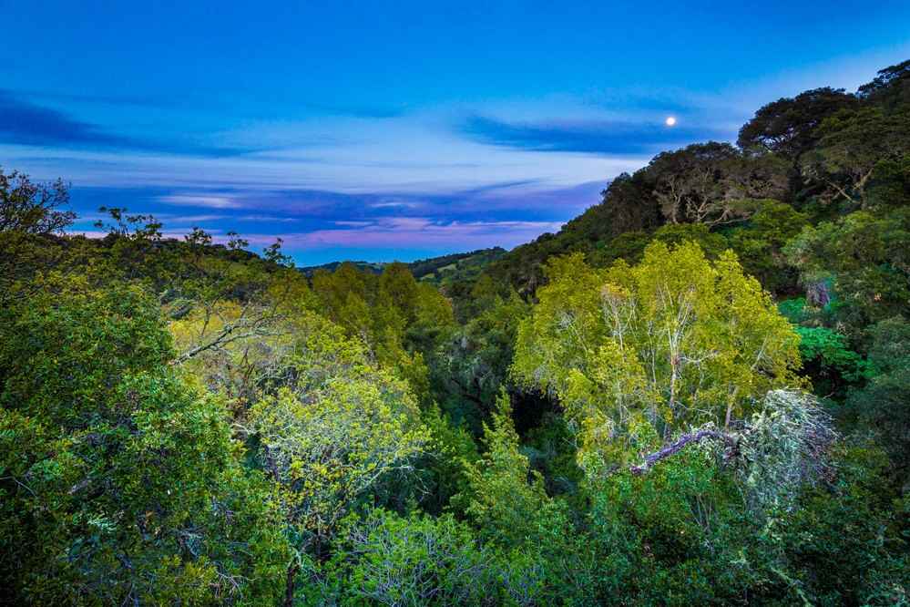 20 Ohlone St - Photo 3 of 30