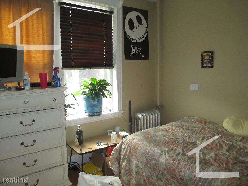 56 Egmont St - Photo 3 of 30