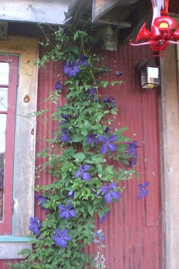 40 Henry Houghtaling Road - Photo 3 of 25