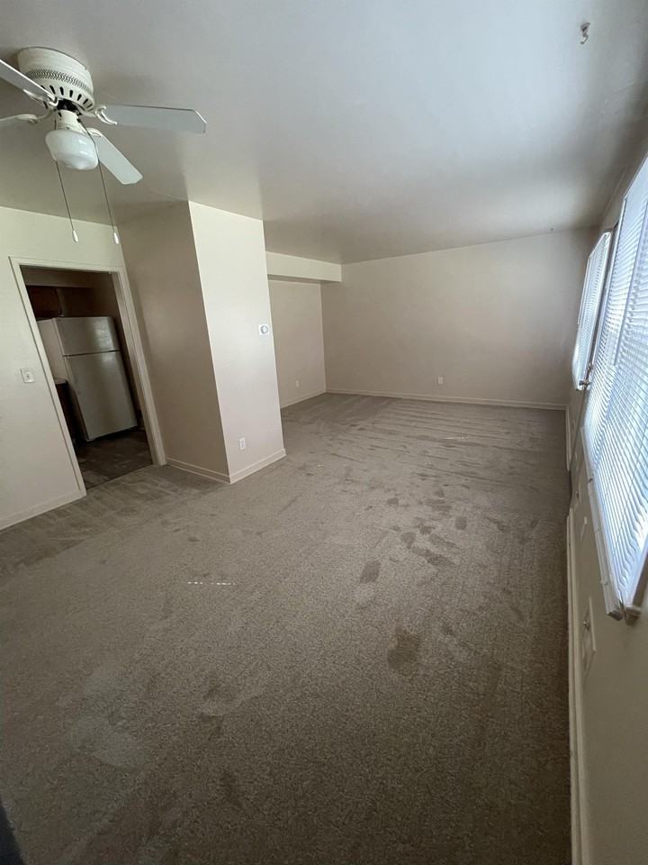 210 Briarcliff Ln - Photo 3 of 20