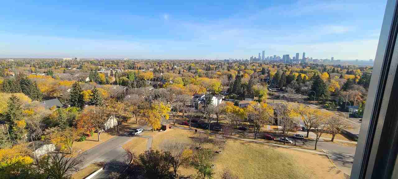 13910 Stony Plain Road - Photo 3 of 21