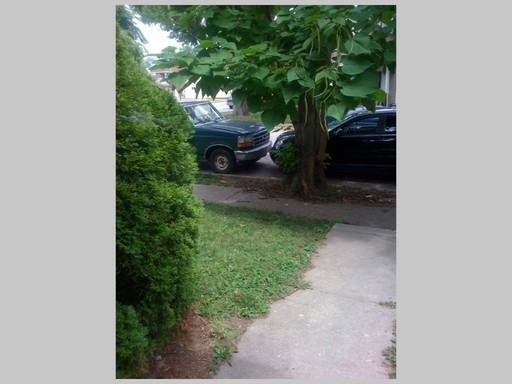 1303 Morton St - Photo 2 of 24