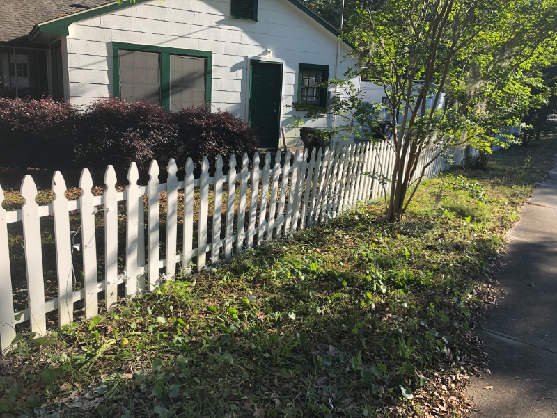 709 Collins St - Photo 3 of 14