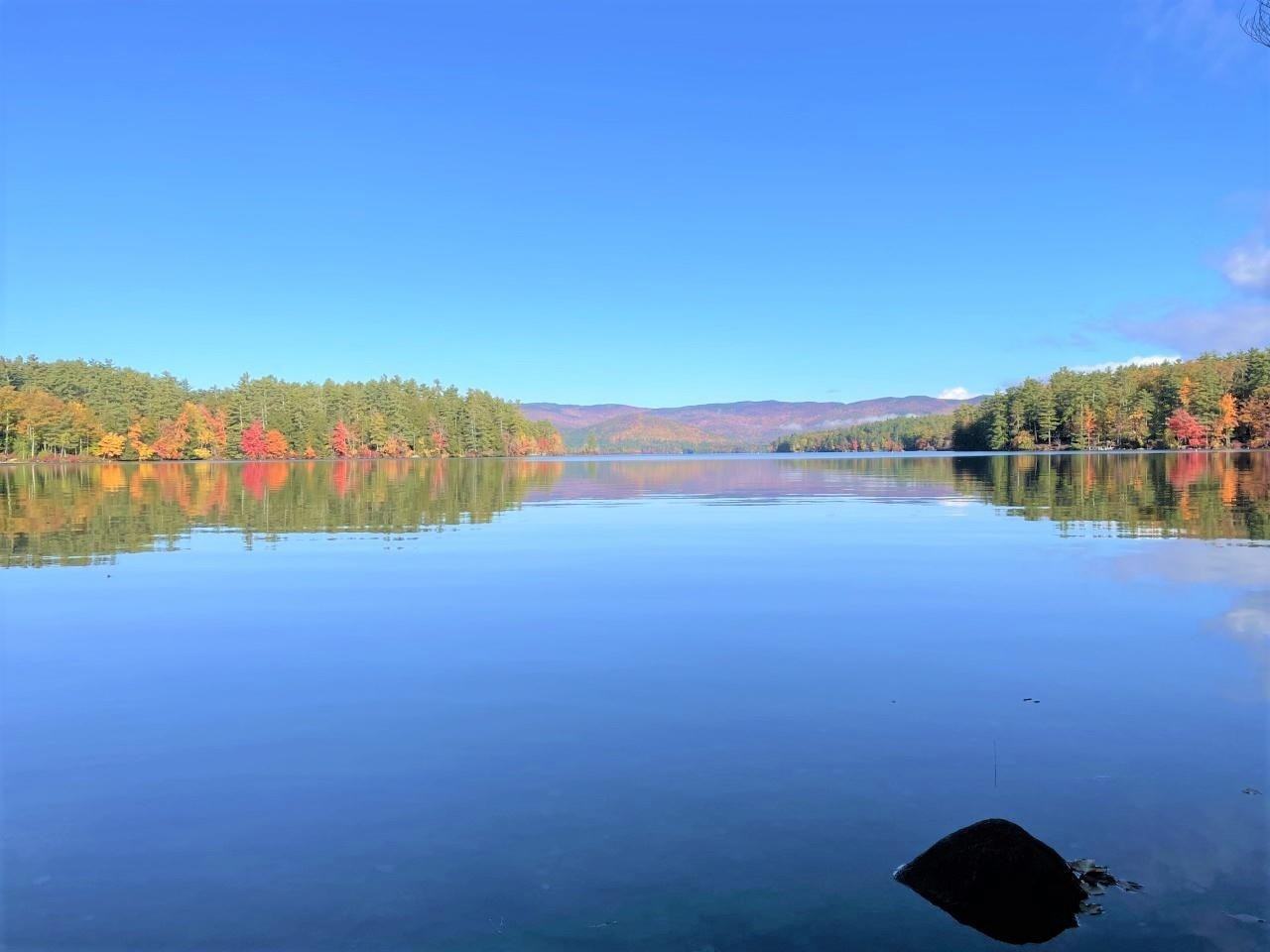 92 Singing Eagle Rd - Photo 3 of 36