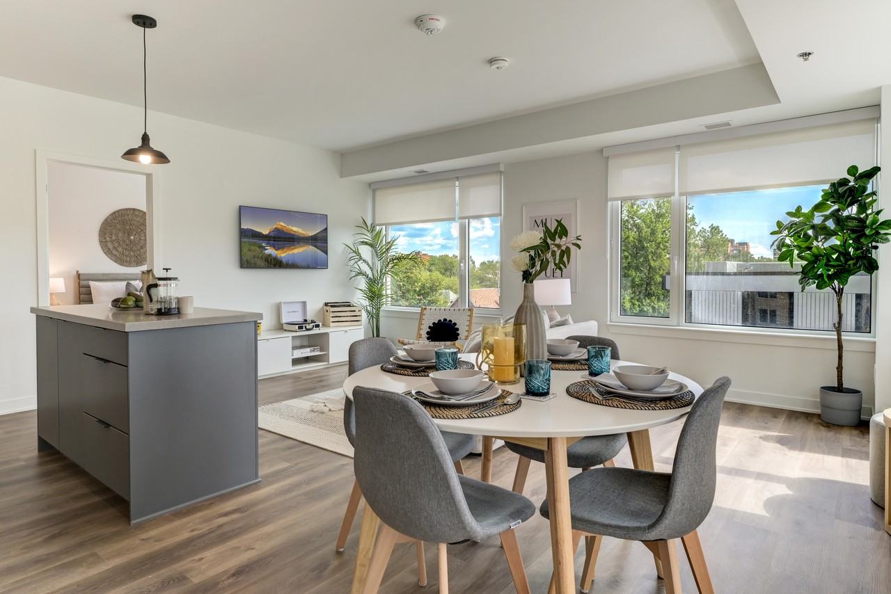 Studio Apartments for Rent In Ottawa, ON Rentals Available Zumper