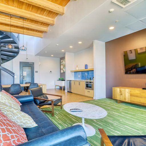 Nova - Photo 6 of 14