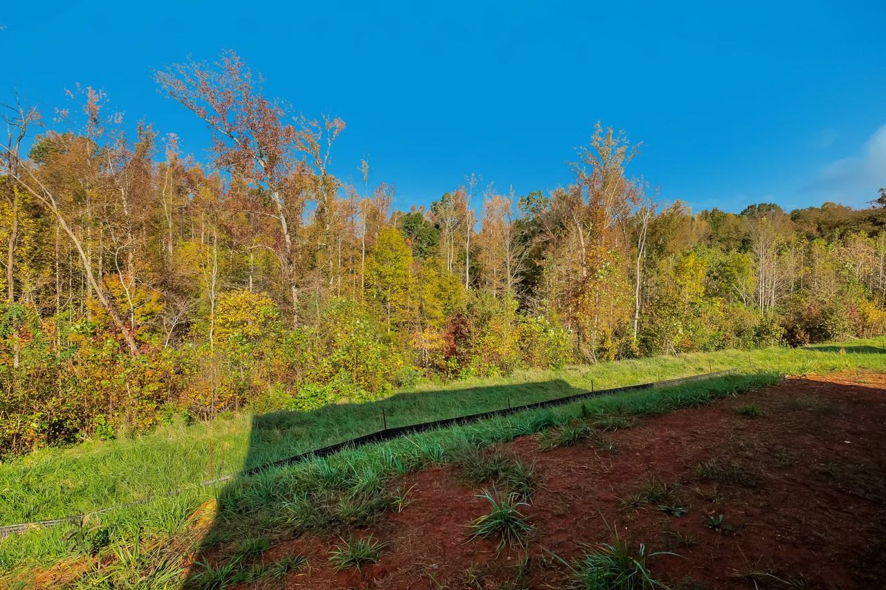 6386 Century Ln - Photo 5 of 5