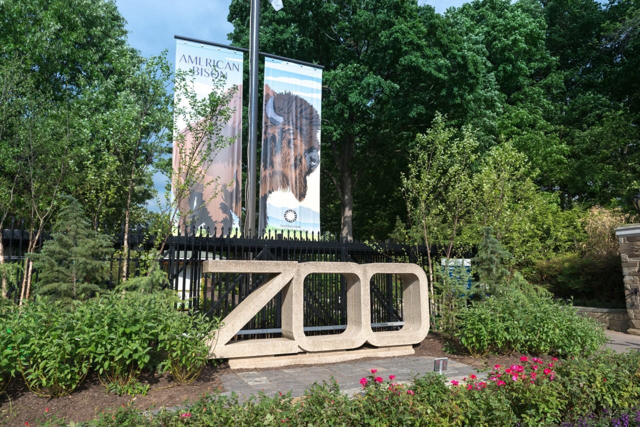 Quebec House Apartments 2801 Quebec St NW, Washington, DC 20008 Zumper