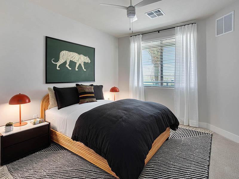 7115 East Mcdowell Road