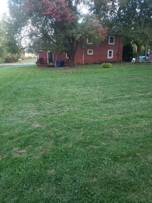 2502 Shaub Rd - Photo 3 of 17