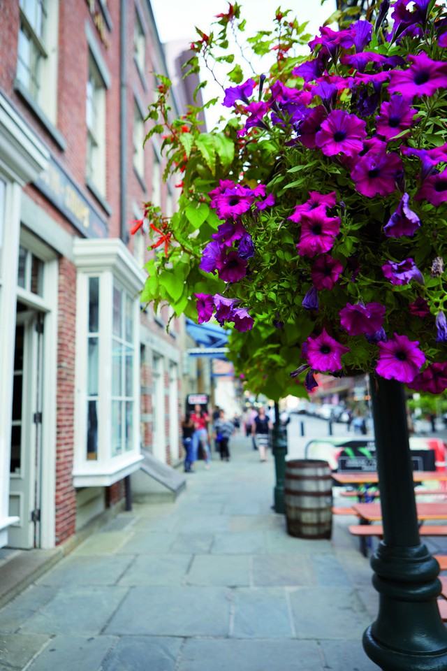 Historic Front Street - Photo 4 of 14