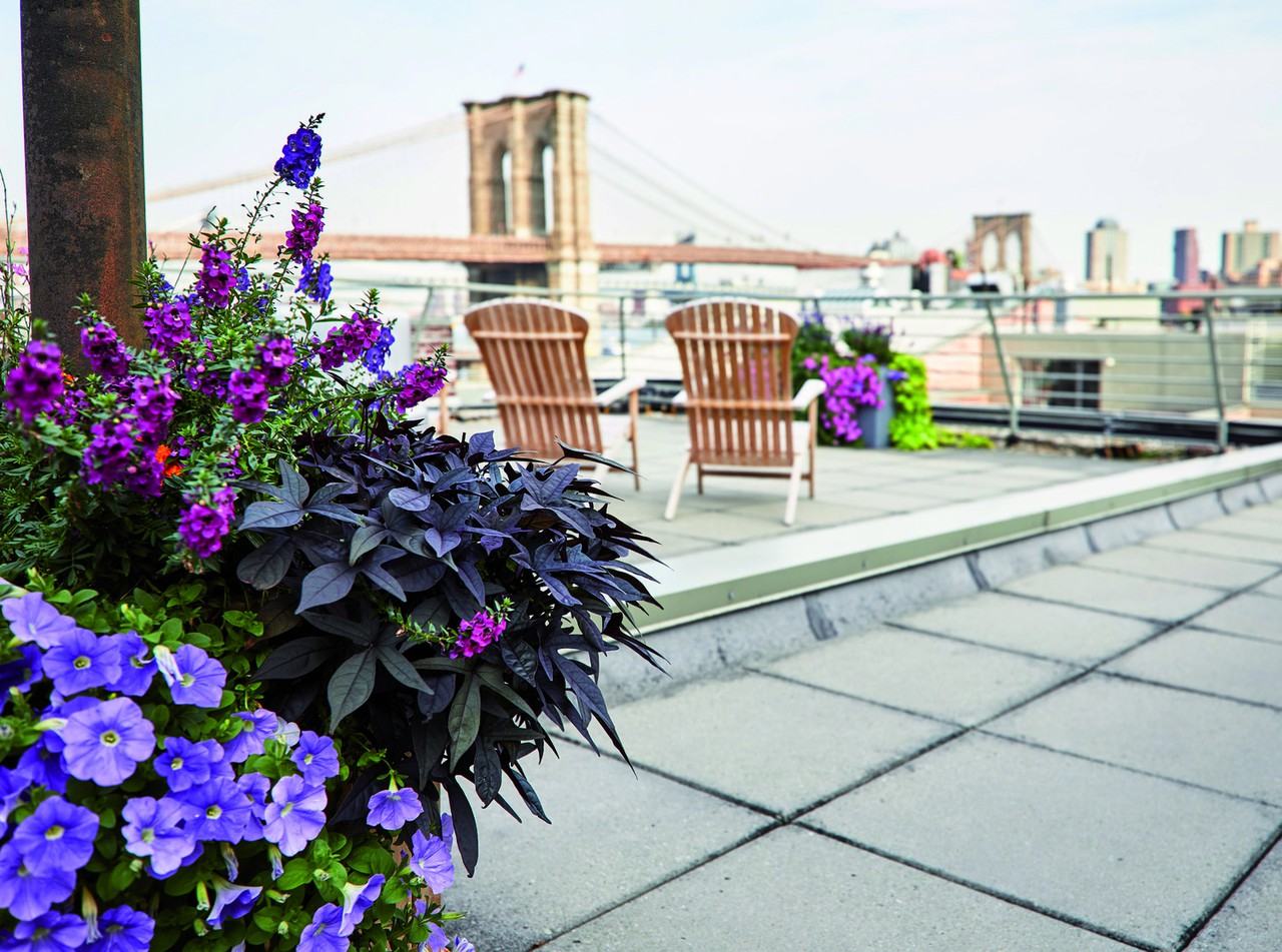 Historic Front Street - Photo 7 of 14