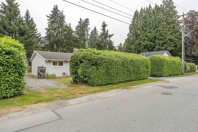 12209 Skillen Street - Photo 3 of 17