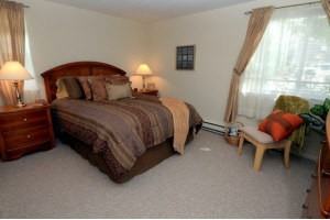 The Meadows - Photo 3 of 14