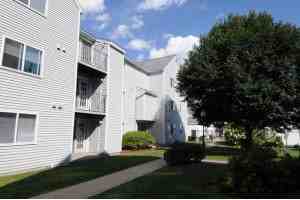 The Meadows - Photo 2 of 14