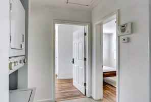 featured image of Mack Ave