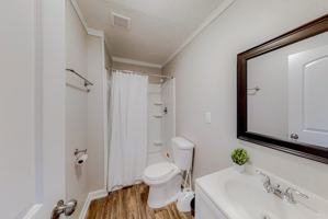 featured image of Magnolia Dr