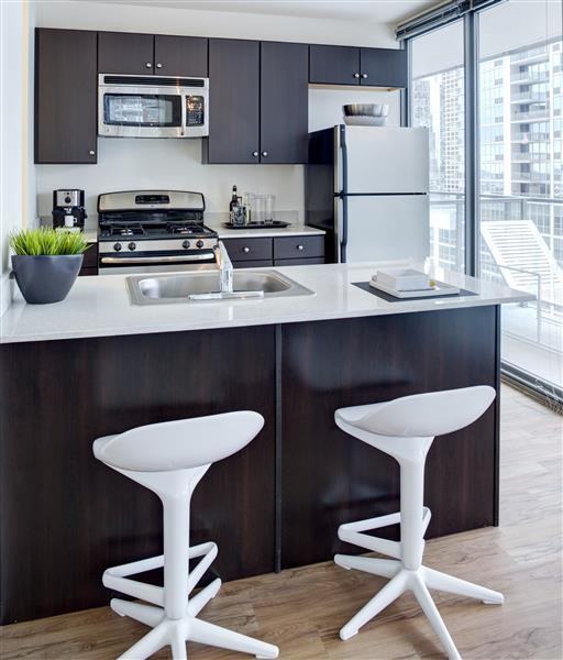 345 E Wacker Dr #2-2 - Photo 3 of 19