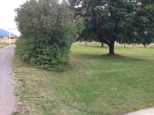 3200 Mountain Home Ln - Photo 3 of 11