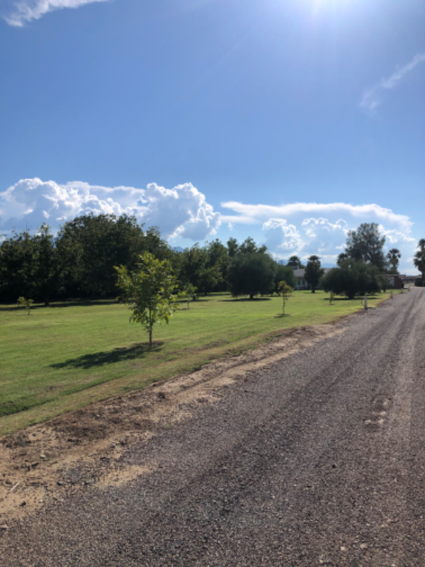 2150 S 1st Ave - Photo 2 of 32