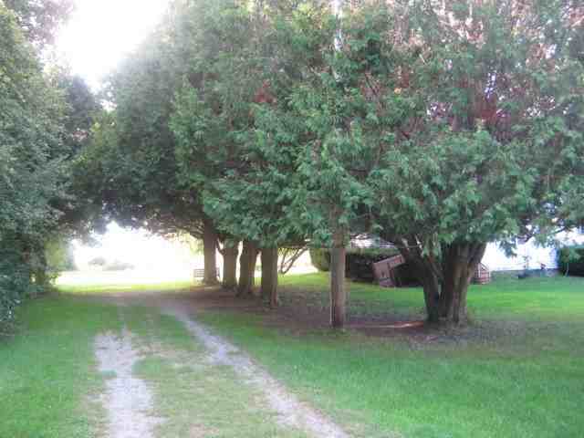 391 Farrell Rd - Photo 3 of 17