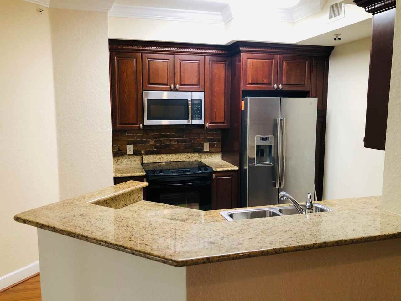 4201 Renaissance Way #201 - Photo 2 of 20