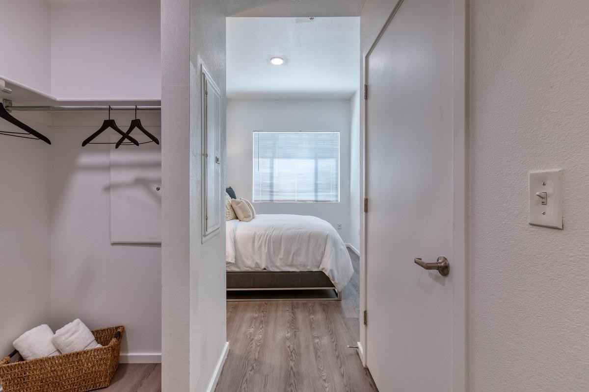 350 E Congress St - Photo 7 of 50