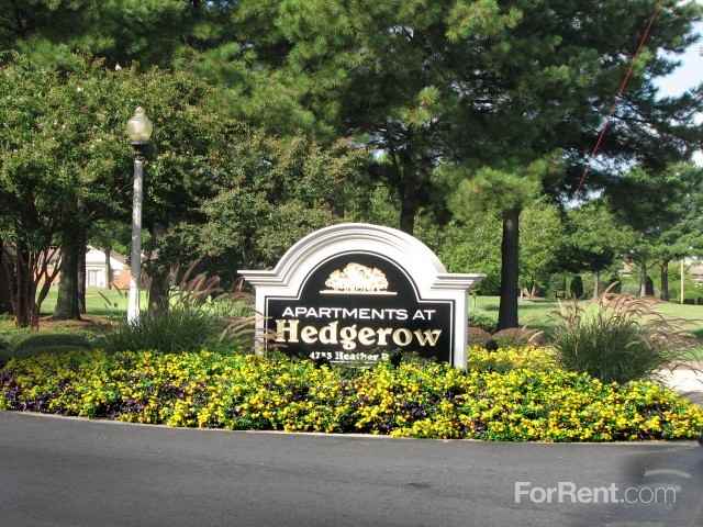 Apartments at Hedgerow - Photo 2 of 29