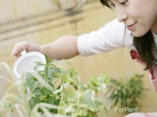 Rosemont at Arlington Park - Photo 2 of 6