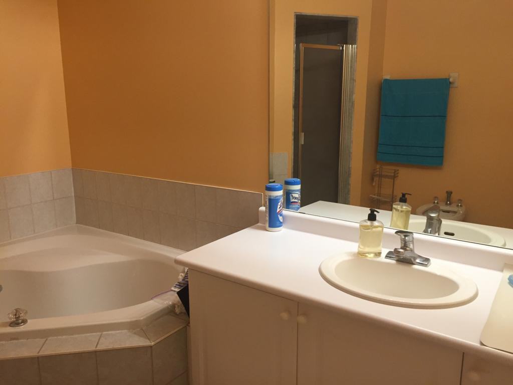 61 Sunfield Road Basement - Photo 3 of 5