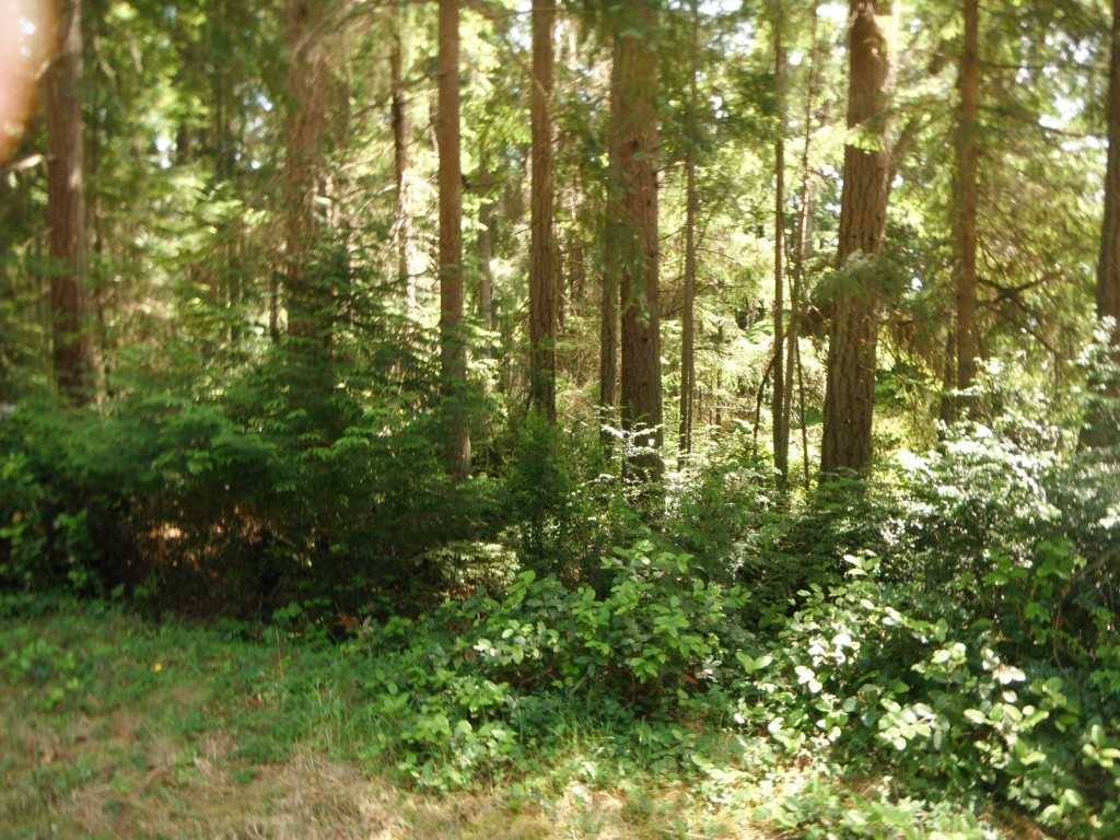 12112 Wapato Rd - Photo 2 of 10