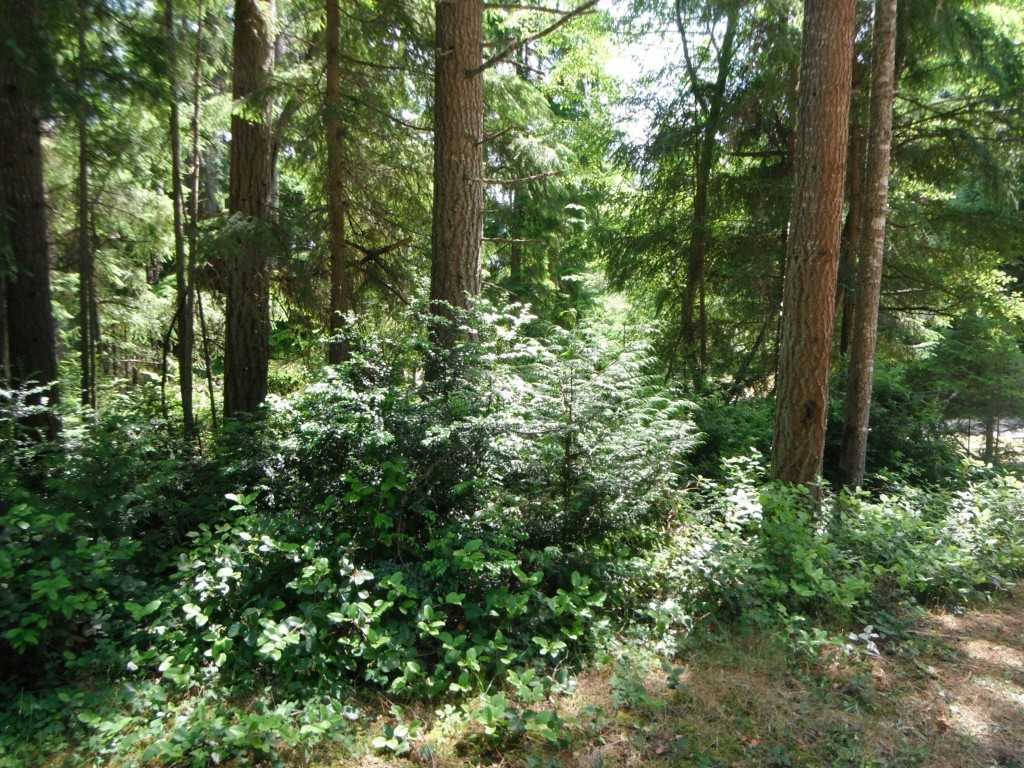 12112 Wapato Rd - Photo 3 of 10