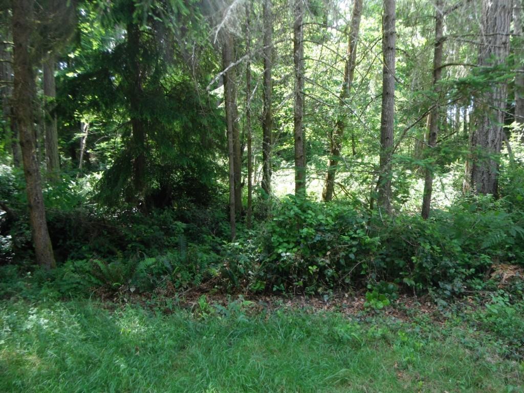 9302 123rd Ave - Photo 2 of 10