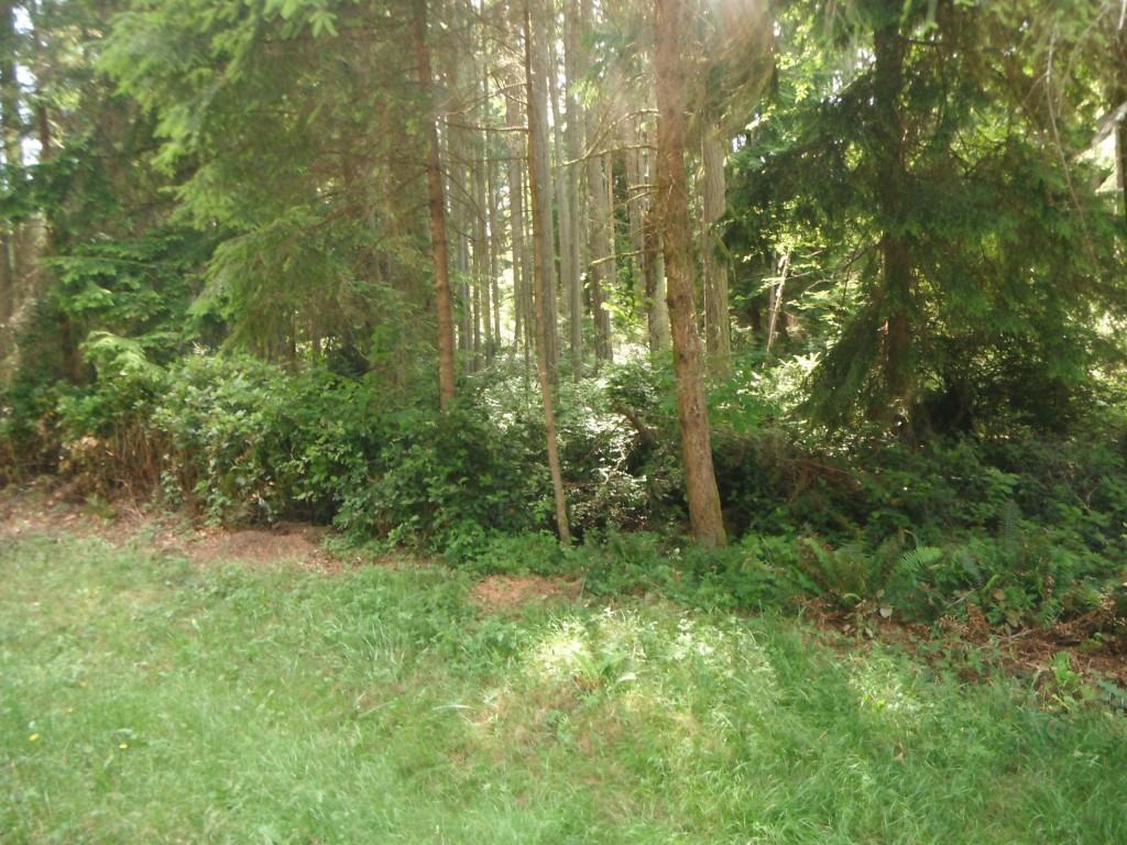 9302 123rd Ave - Photo 3 of 10