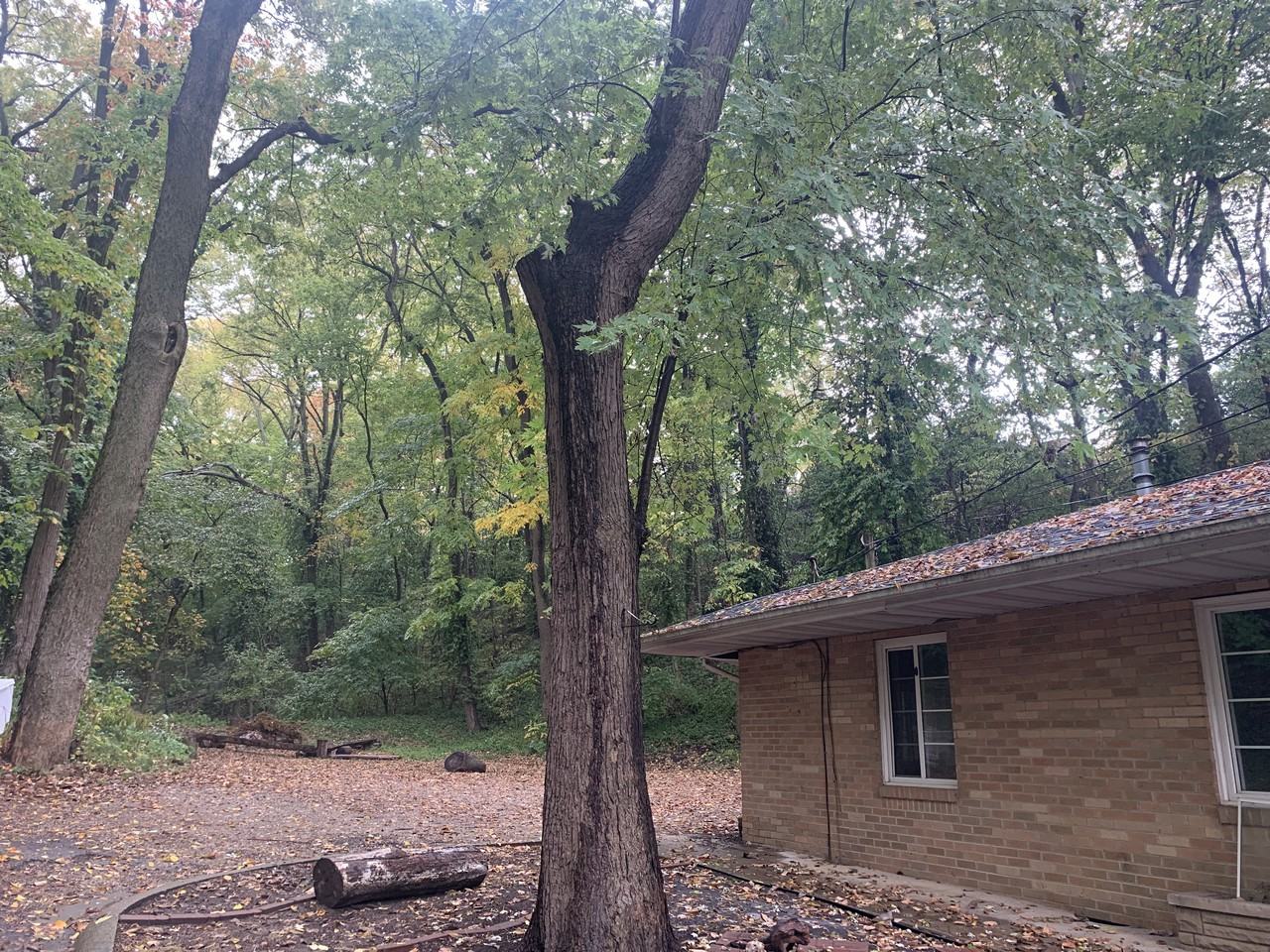 108 Hilltop Court #108 - Photo 2 of 12