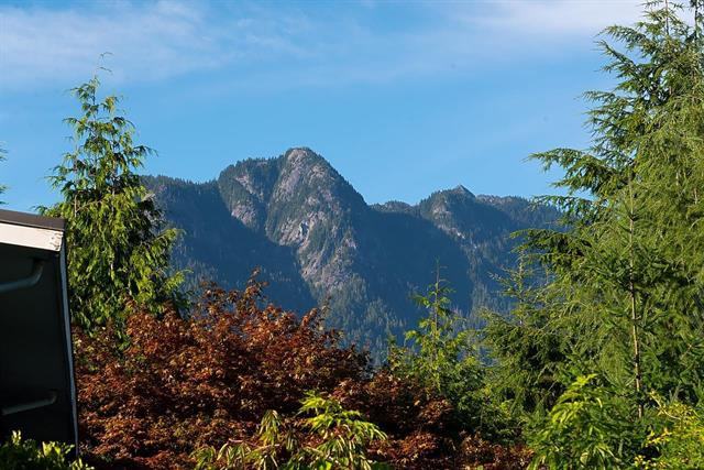 104 Bonnymuir Drive - Photo 3 of 11