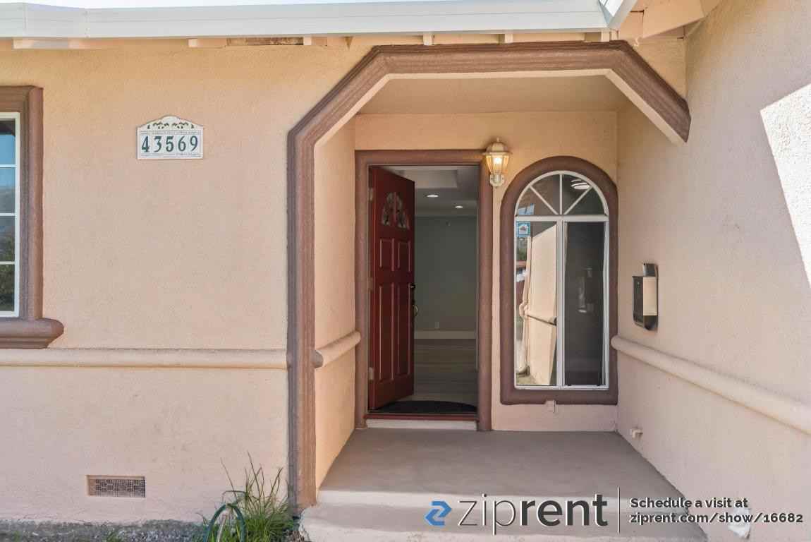 43569 Montrose Ave - Photo 3 of 20